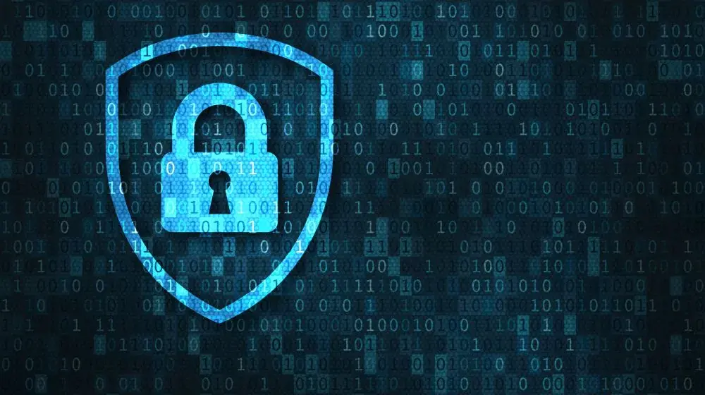 Understanding the Basics of Data Protection in Zimbabwe